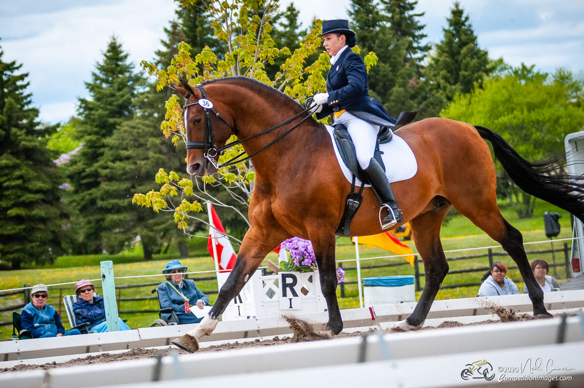 Equestrian