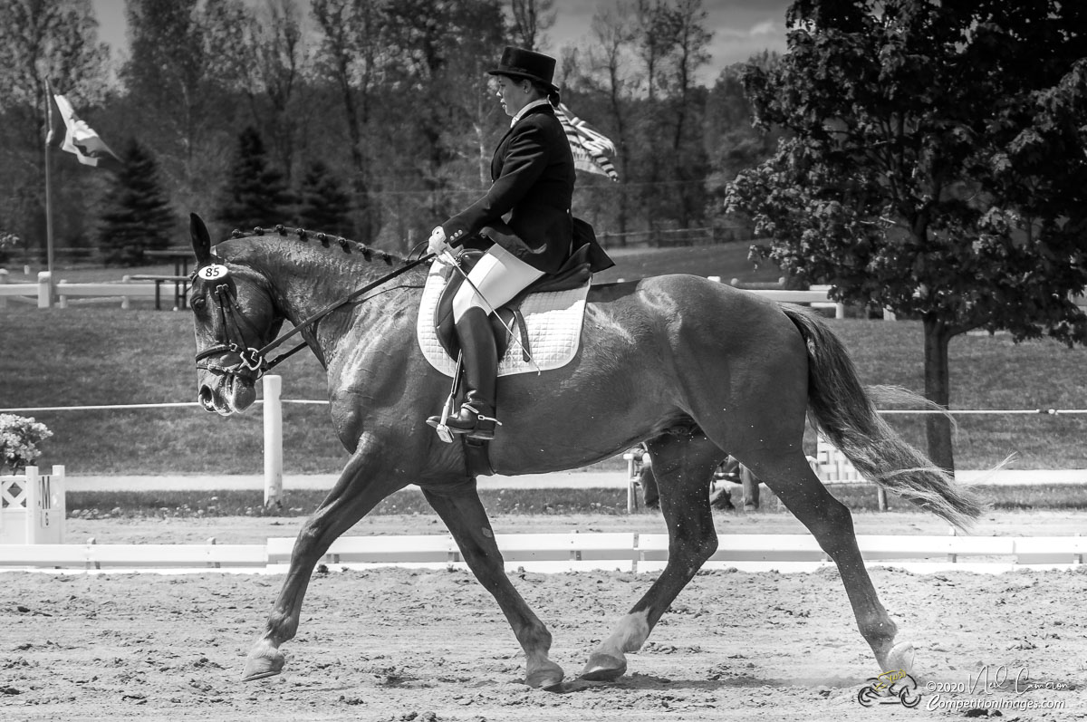 Competitor, Spring Classic Dressage, Ottawa, 2008