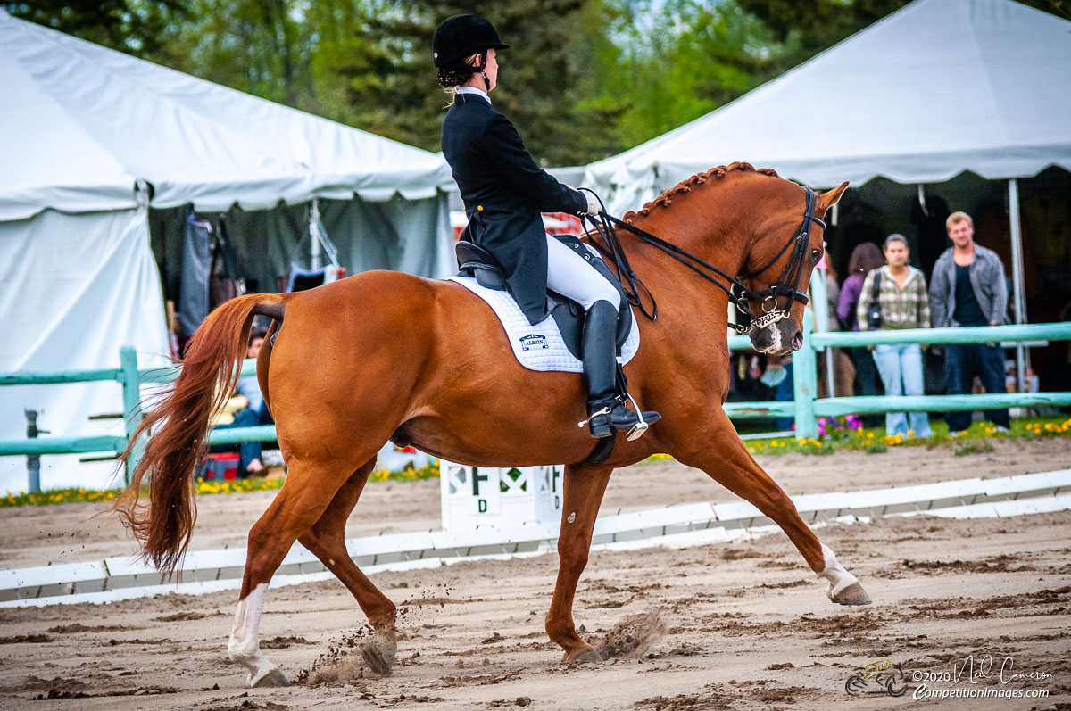 Competitor, Spring Classic Dressage, Ottawa, 2008